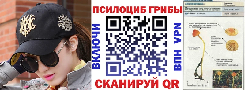 Псилоцибиновые грибы MAGIC MUSHROOMS  это какой сайт  Мглин 